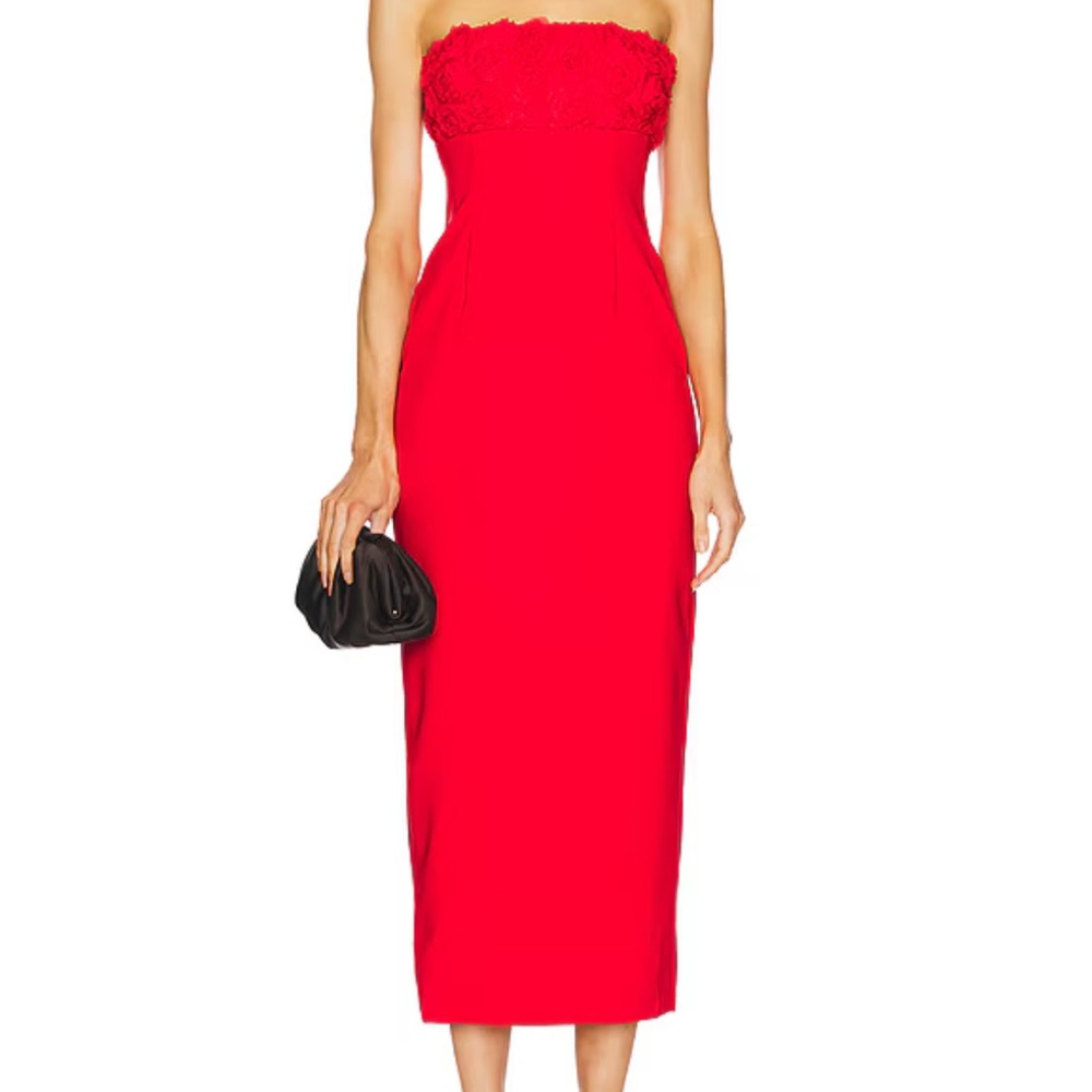 Runaway the label never worn Lottie dress with tags still on! So pretty!